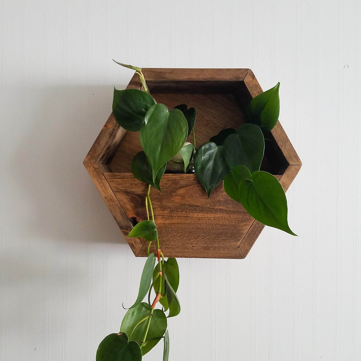 Raft hexagonal de perete din lemn, decor boho pentru plante și obiecte mici